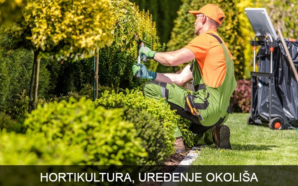 Hortikultura - DOMUS GLOBAL